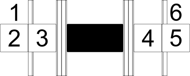 Lineatur