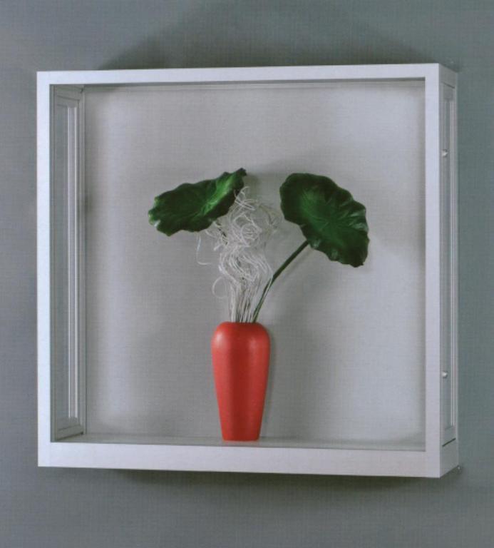 Hängevitrine 4 Staubdicht online bestellen