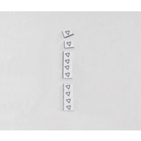 Lehrpersonen Magnet MS mit Symbol 10 x 15 mm