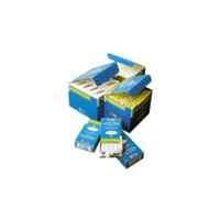 Robocolor-Champagne Kreide