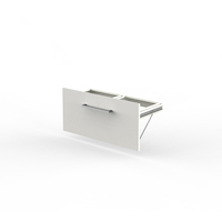 Schublade mit Hängeregistratureinsatz Form 4