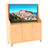 Smart TV und Multimediawagen