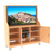 Smart TV und Multimediawagen