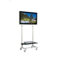 TV Wagen, TV Rack 50 Zoll