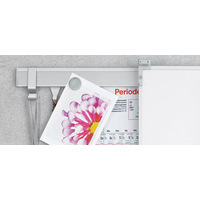 Wandschiene A media-line 737 mit einer Ebene