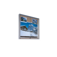 Wandvitrine mit Schiebetür aus Sicherheitsglas