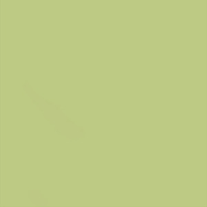 Plattendekore P6B1 Lindgrün